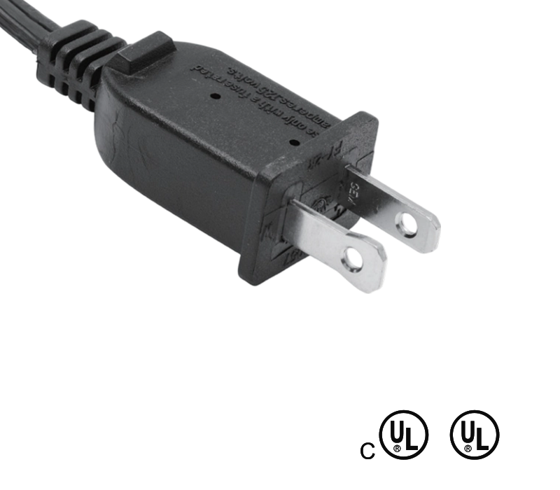 FY-2R 13A 125V Duo Pin American Standard Plug With Fuse